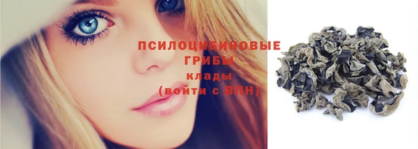 спайс Медвежьегорск
